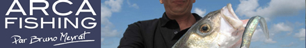 Arcafiching.com